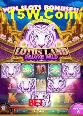 Experiência VIP Bet77
